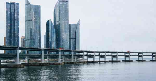 大数据影视软件