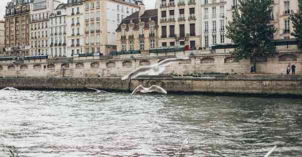 收到防控办大数据短信