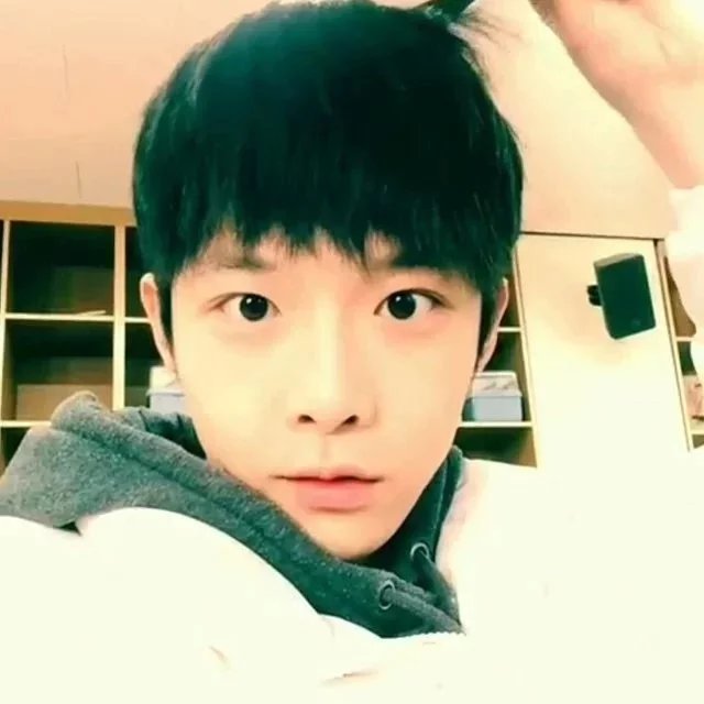 荀朋旭韦