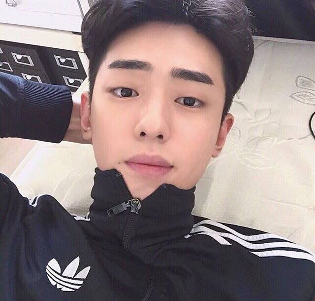 吕泽杰华