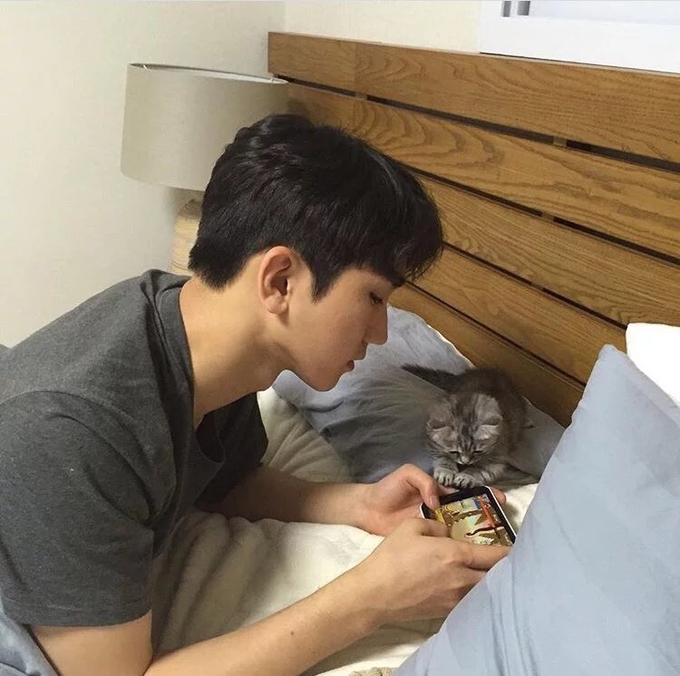 狄明春雅