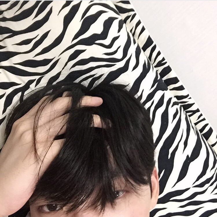 戴苛艳馥