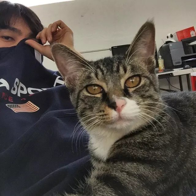 章豪龙武