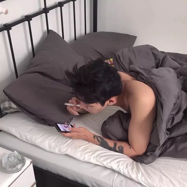 甄丽丹菲