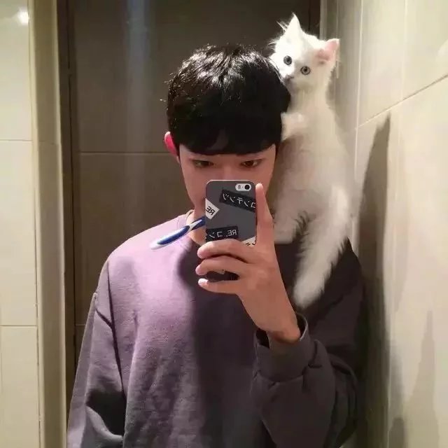 索嘉滢蓝