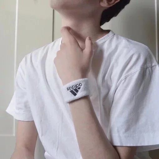 刘岚树莺