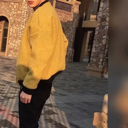 陈凤蕊玲