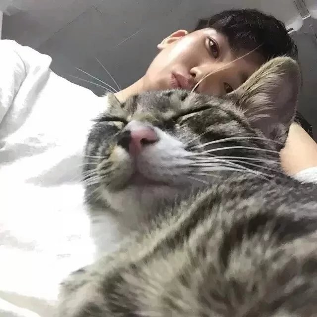 成邦爱宇