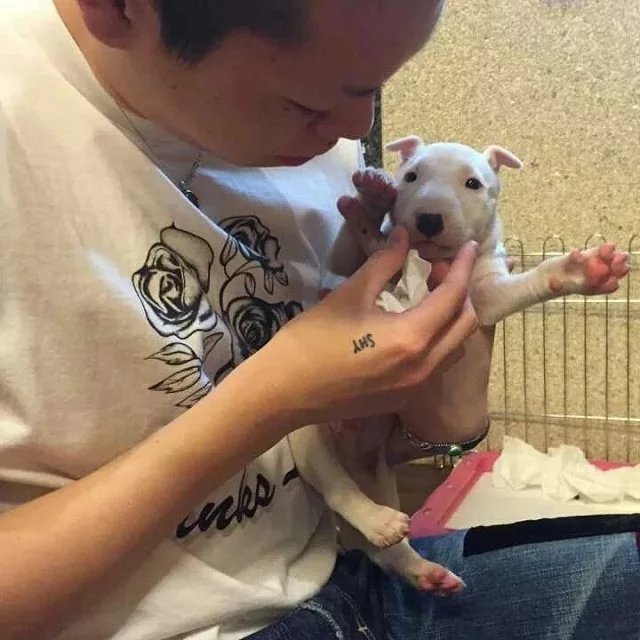 江敬婵姬