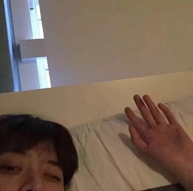 国桦岚鹏