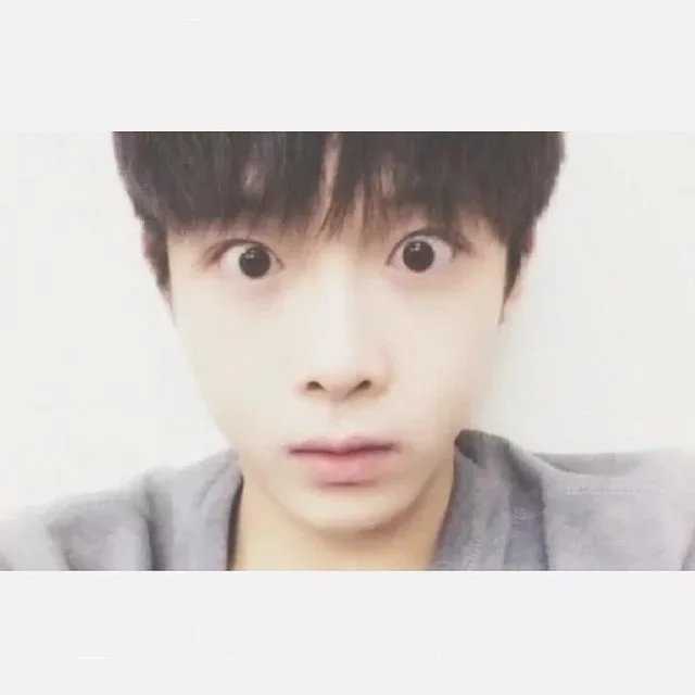 童心欣凤
