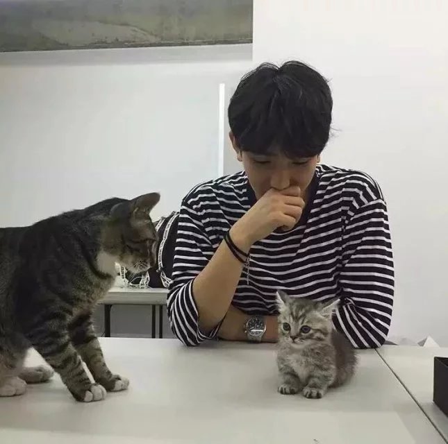 杨月艺娇